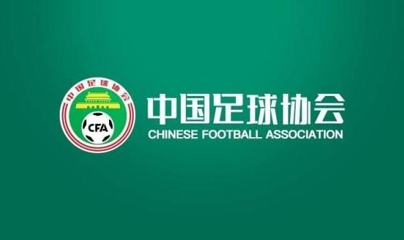 欧美成年人视频网站